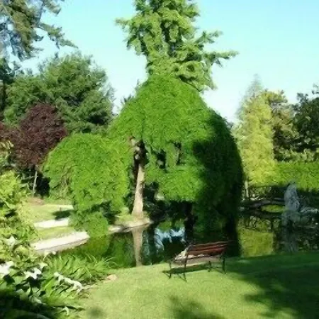 Borgo Storico Seghetti Panichi Castel di Lama
