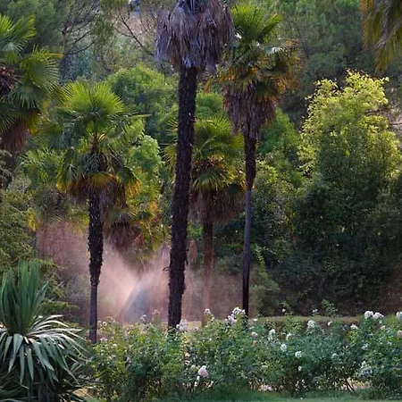 Borgo Storico Seghetti Panichi 4* Castel di Lama