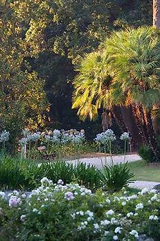 Aparthotel Borgo Storico Seghetti Panichi Castel di Lama